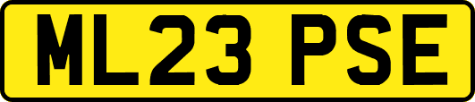 ML23PSE