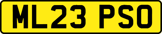ML23PSO