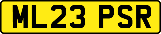 ML23PSR