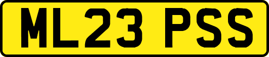 ML23PSS