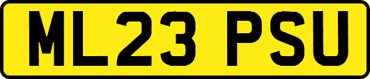 ML23PSU