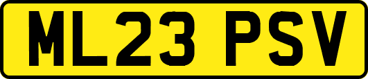 ML23PSV