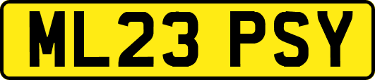 ML23PSY