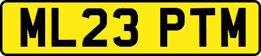 ML23PTM