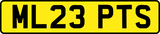 ML23PTS