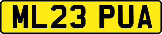 ML23PUA
