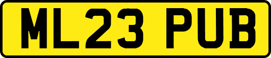 ML23PUB