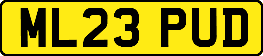 ML23PUD