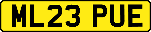 ML23PUE