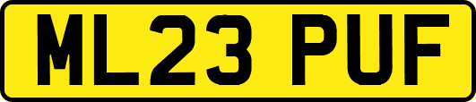 ML23PUF