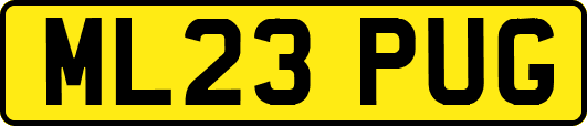 ML23PUG