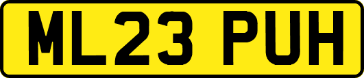 ML23PUH