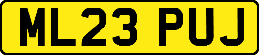 ML23PUJ