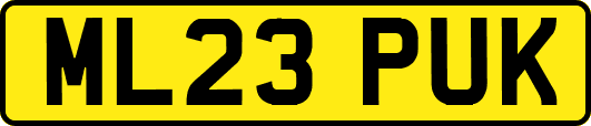 ML23PUK