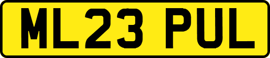 ML23PUL