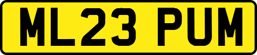 ML23PUM
