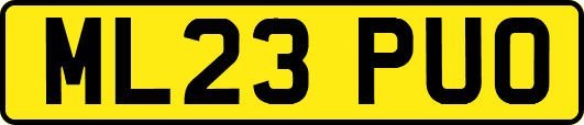 ML23PUO