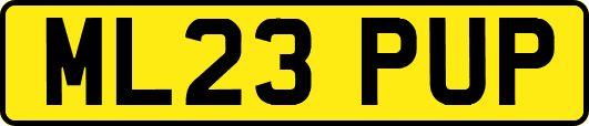 ML23PUP