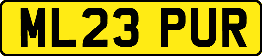 ML23PUR