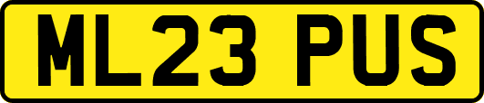 ML23PUS