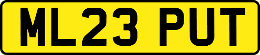 ML23PUT