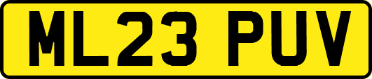 ML23PUV