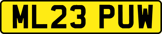 ML23PUW