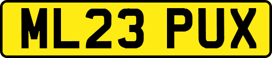 ML23PUX