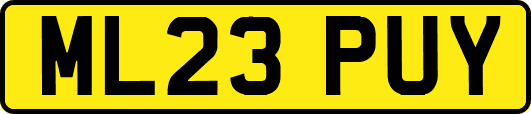 ML23PUY