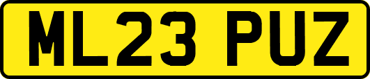 ML23PUZ