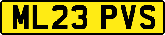 ML23PVS