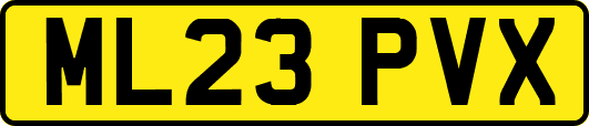 ML23PVX