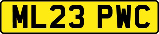 ML23PWC
