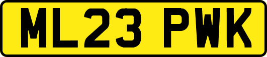 ML23PWK