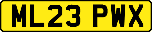 ML23PWX