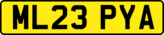 ML23PYA