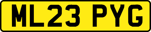 ML23PYG