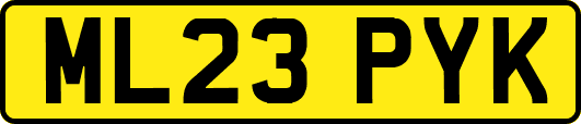 ML23PYK