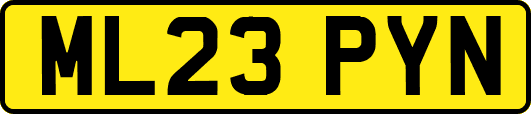 ML23PYN