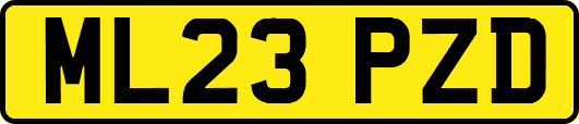 ML23PZD