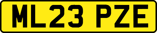 ML23PZE