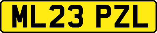 ML23PZL