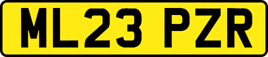 ML23PZR
