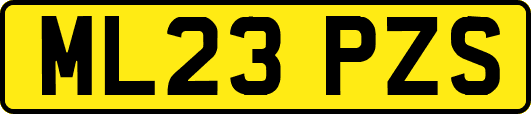 ML23PZS