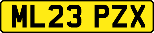 ML23PZX