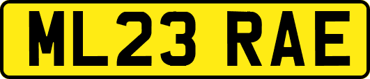 ML23RAE