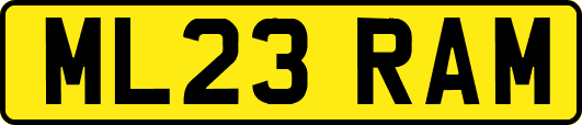 ML23RAM