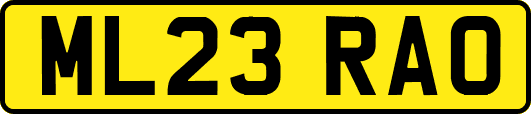 ML23RAO