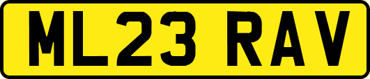 ML23RAV
