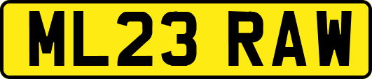 ML23RAW
